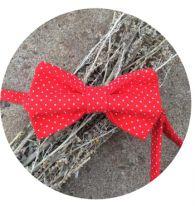 Бабочка-галстук для костюма Красная
